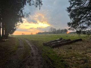 Appartement Kleine Auszeit mit privater Sauna - Erkheim - 6