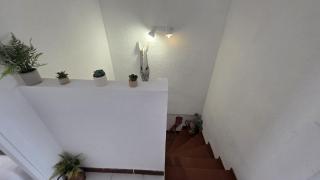 Regata Playa - 1