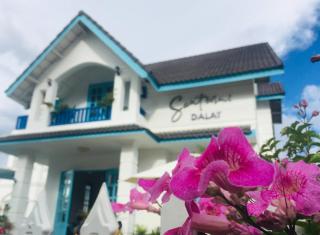 Santorini Homestay - Da Lat - 2