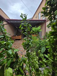 Jumadaler 4 min to Bukhara Old Town Дворец эмира в старом городе - 5