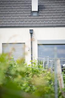 Wohnen im Weingarten Ferienhaus Gründl - - 6