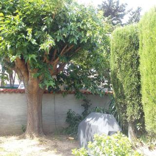 Le Pre vert chambres A ou B - 5