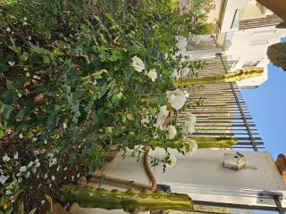 Face au HILTON Appartement Luxe TAGHAZOUT BAY - Tamraght Ouzdar - 7