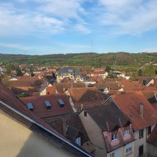Studio atypique avec superbe vue - Wasselonne - 6