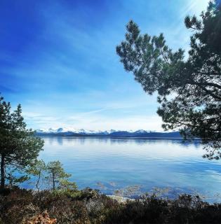 Draget gård - Molde - 6