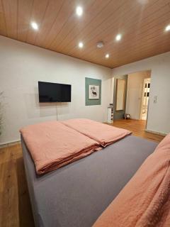 Stardust - Donaueschingen - 1