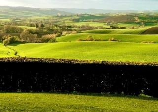Villa Giulia, a splendid farmhouse in the Marche region - Appignano - 1