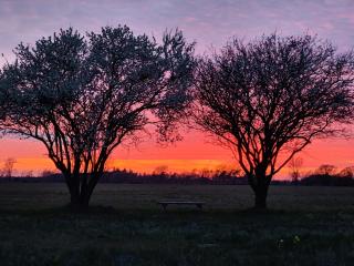 GIMLEretreat - Marielyst - 4