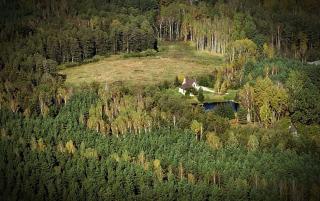 Domwlesie - Gospodarstwo Agroturystyczne - Strękowizna - 4
