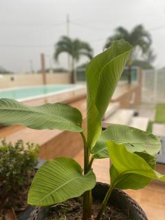 BEACH HOUSE RECANTO DUARTE - Jaguaripe - 5