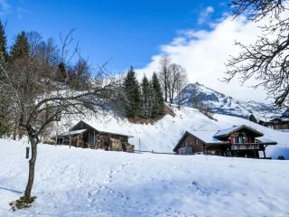 Apartment Chalet Schwendihus-11 by Interhome - Grindelwald - 4