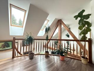 Vila Tin - Prestranek - 5