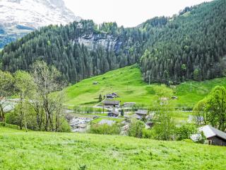 Apartment Chalet Auf dem Vogelstein-1 by Interhome - Grindelwald - 8