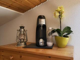 Apartment Lischa 3- OG Süd by Interhome - Fiesch - 8
