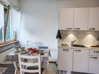 Apartment Casa Stella App- 4 by Interhome - Brissago - 1