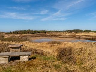 Holiday Home Elisa - 1-2km from the sea by Interhome - Bedsted Thy - 4