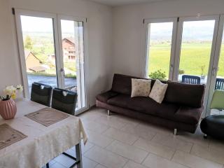 Apartment Luxenweid by Interhome - Reichenburg - 8