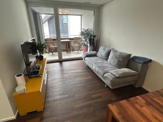 Moderne Businesswohnung, chic & zentral - Wollerau - 8