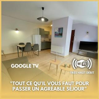 L'olive- centre Ardres- fibre- 2 lits - Ardres - 9