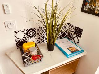 Studio chic & champêtre - Aussonne - 2