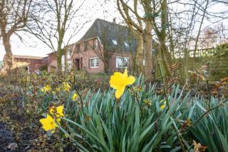 Ferienhof Friccius - 9