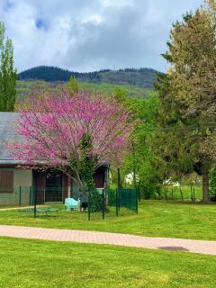La Suite Unique - Le jardin sur les Pyrénées- vue panoramique montagne -jardin clôturé privé de 100m2-Parking-Linge de lit et serviettes compris- - Bielle - 0
