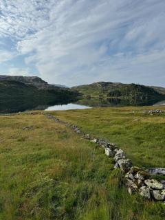 Wild Norwegian nature, between Preikestolen & Trolltunga - Sauda - 3