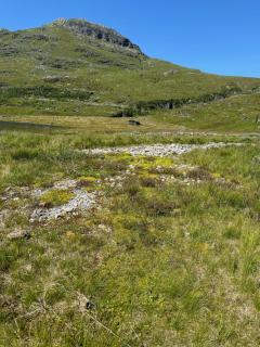 Wild Norwegian nature, between Preikestolen & Trolltunga - 1