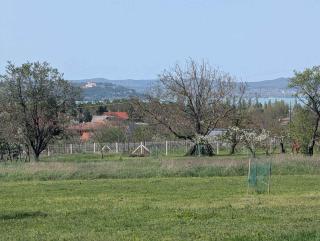 Apartment in Zamardi - Balaton 53839 - Zamárdi - 9