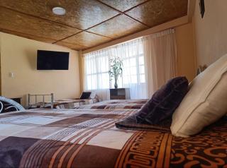 Elfen hospedaje familiar - 5