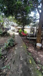 Bamboo Hut Resort and Restaurant - 2