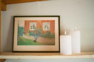 Gezellige Zweedse stuga Dalsland - 2