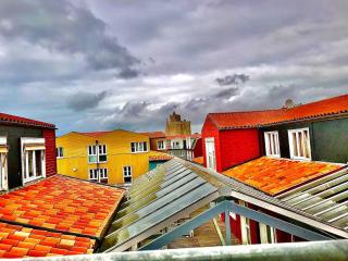 Vue sur le Vieux Port - 6