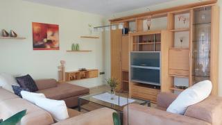 Gemütliche und lichtdurchflutete Ferienwohnung im Herzen des Bayerischen Waldes, Nationalparknähe - Rinchnach - 9
