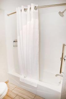 Holiday Inn Express Detroit-Birmingham by IHG - 4