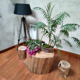 Casa Rural El Montaraz de Gema - 2