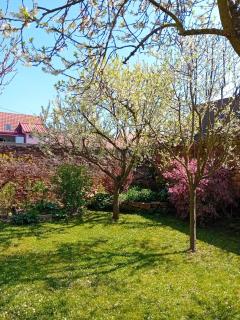 Maison au coeur du village - Dorlisheim - 8