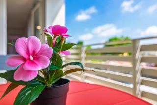 LTApartments - Monolocale con parking a 10 minuti dalla Torre - Pisa - 7