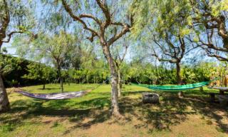 Tenuta Rosa dei Venti - Brindisi - 5