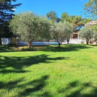 Villa Provençale avec piscine - Pernes-les-Fontaines - 3