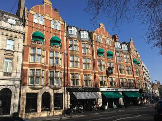 Londwell, Sloane Square & Chelsea Boutique Studio Apartment - Londra - 6