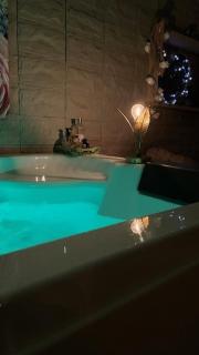 La cabane des amoureux du jardin - Barjols - 6