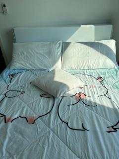 1BR Free pool&gym fast WIFI Airport Link - - 3