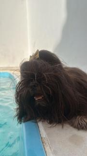 Nosso Lar - 1