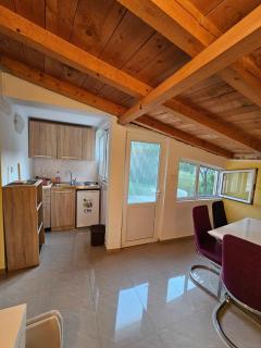 Apartment Stepen - Trstenik - 8