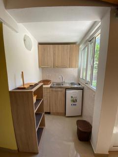 Apartment Stepen - Trstenik - 5