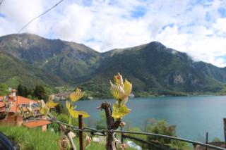 B&B Ca' Serena wine retreat - Ledro - 5