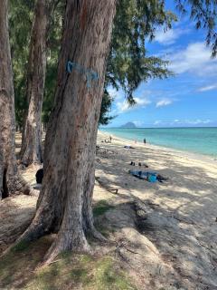 La Caz La Plaz - Beach front apartment - Flic en Flac - 0