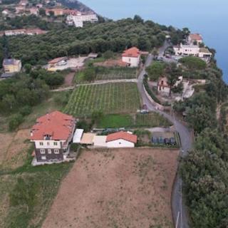 The Cottage - Agerola - 9