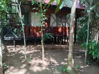Lodge Parayso -Tambopata - Puerto Maldonado - 6